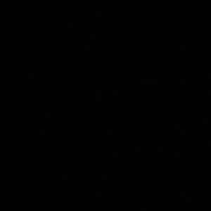 Meet your Posher, Sharnae